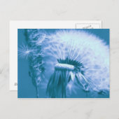 Carte Postale Pusteblume (Devant / Derrière)