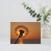 Carte Postale Pusteblume / Dandelion (Debout devant)