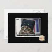 Carte Postale Putain ! (Devant / Derrière)