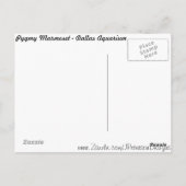 Carte Postale Pygmée Marmoset # 3 (Dos)