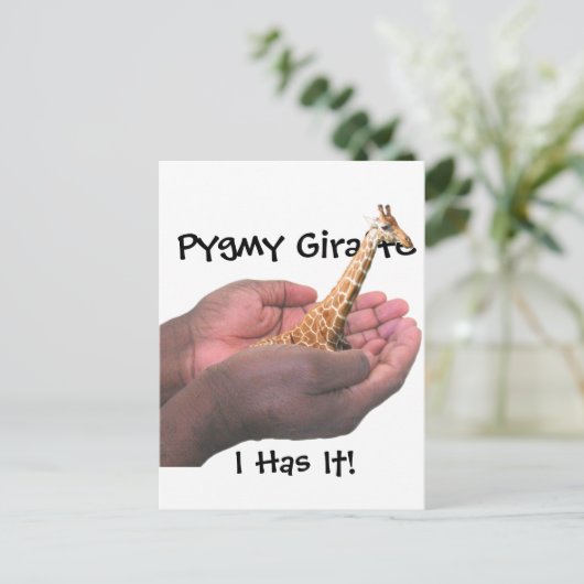 Carte Postale Pygmy Giraffe (Debout devant)