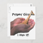 Carte Postale Pygmy Giraffe (Devant / Derrière)