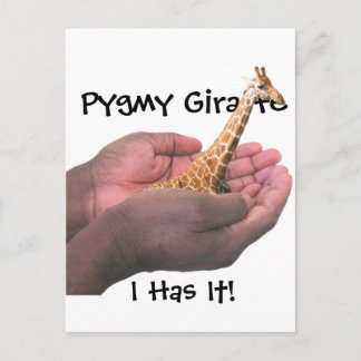 Carte Postale Pygmy Giraffe