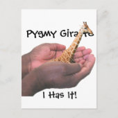 Carte Postale Pygmy Giraffe (Devant)