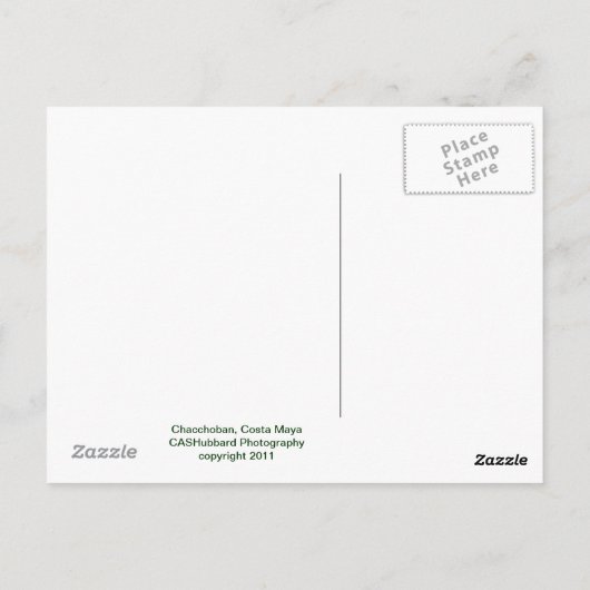 Carte Postale Pyramide Chacchoban (Dos)