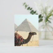 Carte Postale pyramide de chameau (Debout devant)