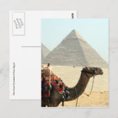 Carte Postale pyramide de chameau (Devant / Derrière)