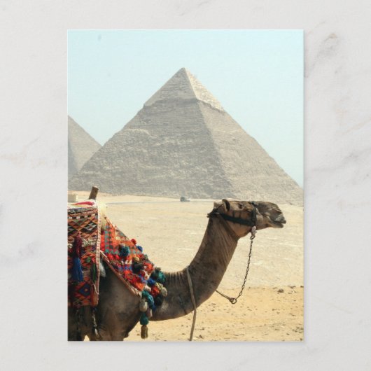 Carte Postale pyramide de chameau (Devant)