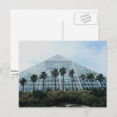 Carte Postale Pyramide de la forêt tropicale, sud du Texas, État (Devant / Derrière)