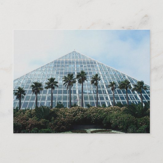 Carte Postale Pyramide de la forêt tropicale, sud du Texas, État (Devant)