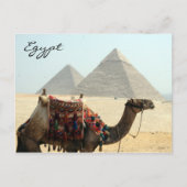 Carte Postale pyramide d'égypte (Devant)