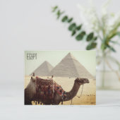 Carte Postale pyramide des chameaux egypte (Debout devant)