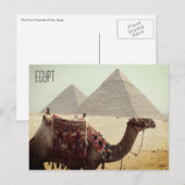 Carte Postale pyramide des chameaux egypte (Devant / Derrière)