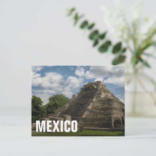 Carte Postale Pyramide maya (Debout devant)