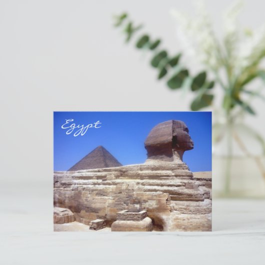 Carte Postale pyramide sphinx (Debout devant)