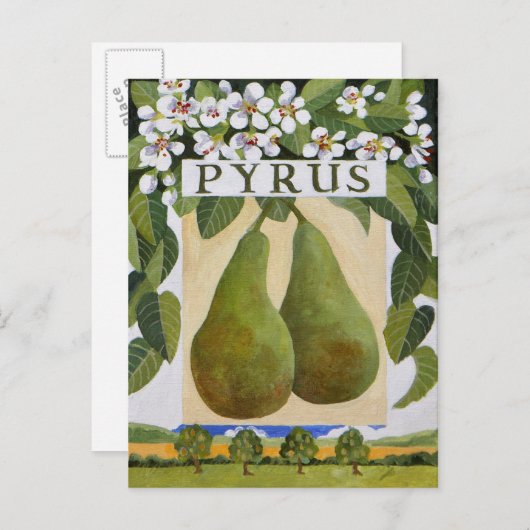 Carte Postale Pyrus (Devant / Derrière)