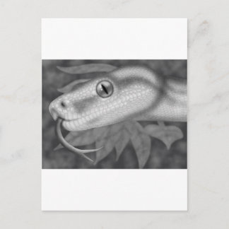 Carte Postale Python