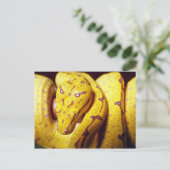 Carte Postale Python aux arbres jaunes, bébé (Debout devant)