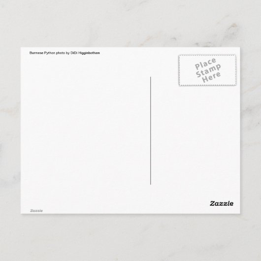 Carte Postale Python birman (Dos)