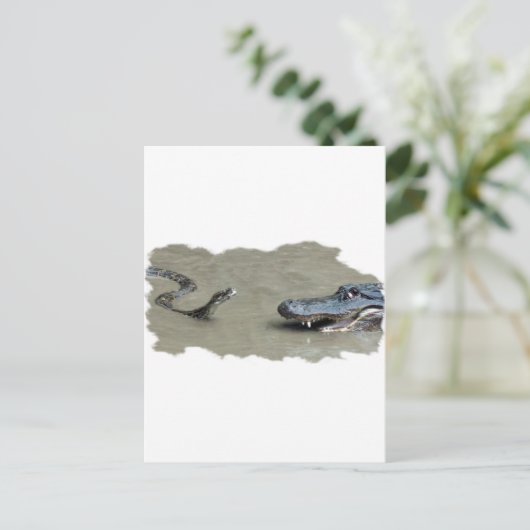 Carte Postale Python contre Alligator (Debout devant)