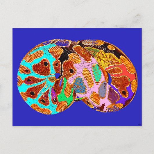 Carte postale Python Pop Art Sleeping (Bleu) (Devant)