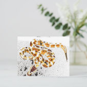 Carte Postale Python royal (Debout devant)