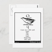 Carte Postale Q était jadis une petite caille (Devant / Derrière)