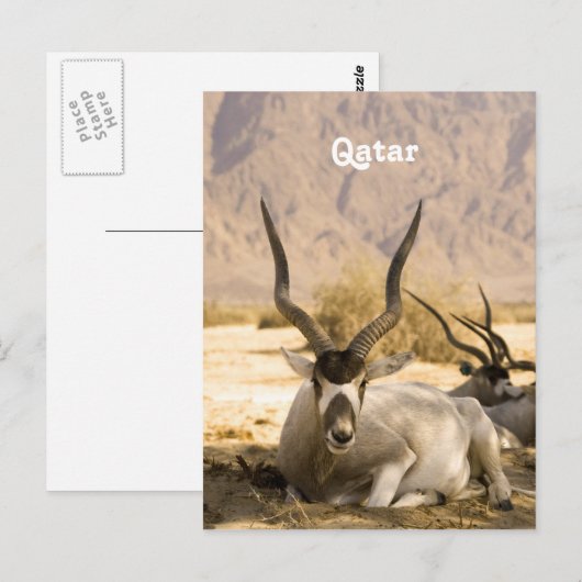 Carte Postale Qatar (Devant / Derrière)