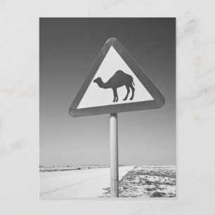 Carte Postale Qatar, Al Zubarah. Panneau de signalisation de pas