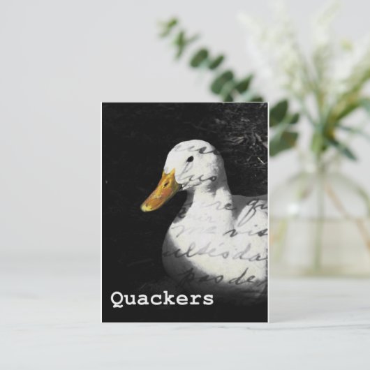 Carte Postale Quackers (Debout devant)