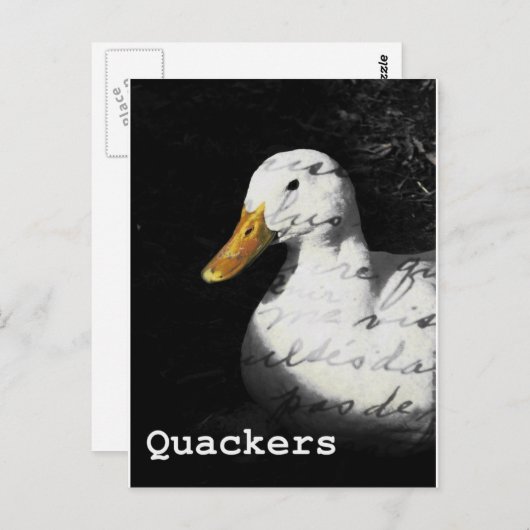 Carte Postale Quackers (Devant / Derrière)