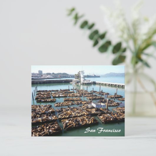 Carte Postale quai 39 (Debout devant)