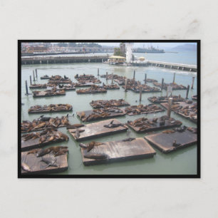 Carte Postale quai des pêcheurs