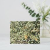 Carte postale Quail Bush en Californie (Debout devant)