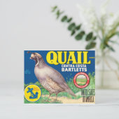 Carte Postale Quail Contra Costa Bartletts Sacramento Californie (Debout devant)