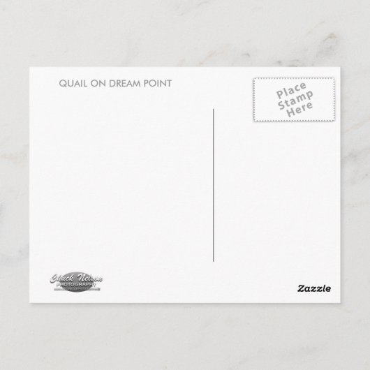 CARTE POSTALE QUAIL ON DREAM POINT (Dos)