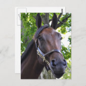 Carte Postale Qualité difficile (Devant / Derrière)