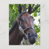 Carte Postale Qualité difficile (Devant)