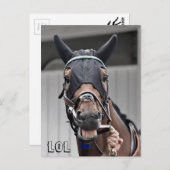 Carte Postale Qualité du ressort (Devant / Derrière)