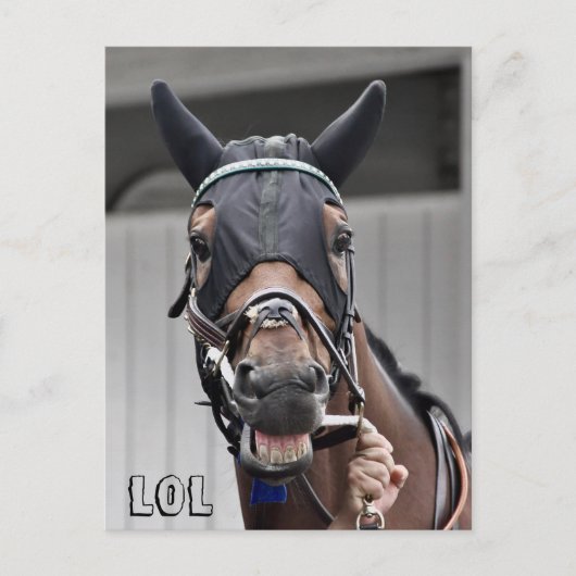 Carte Postale Qualité du ressort (Devant)