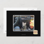 Carte Postale Quand les fleurs ne suffisent pas (Devant / Derrière)