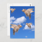 Carte Postale Quand les porcs volent (Devant / Derrière)
