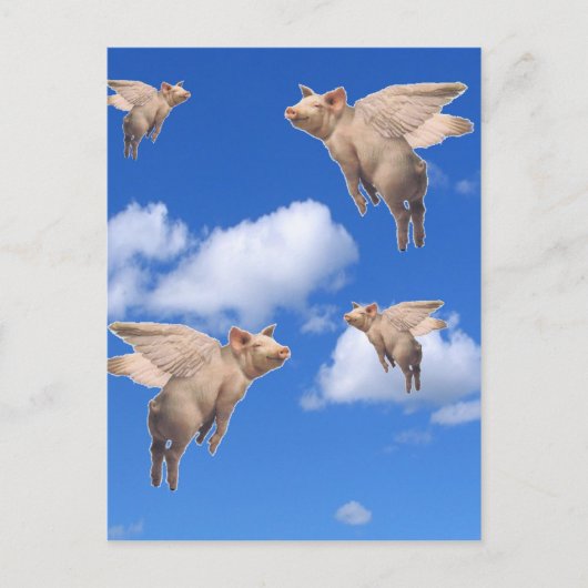 Carte Postale Quand les porcs volent (Devant)