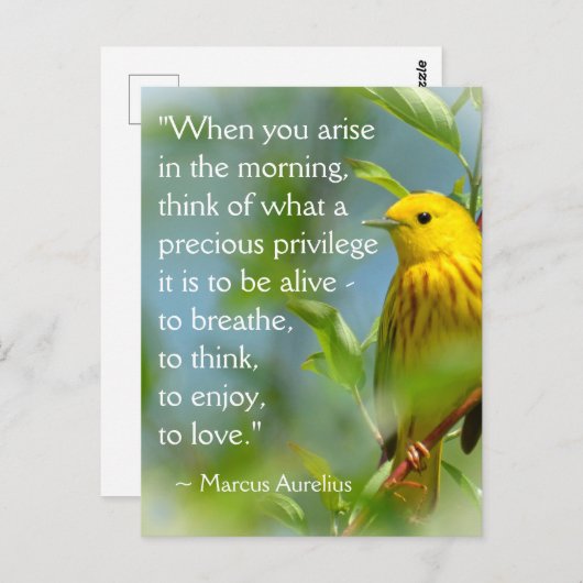 Carte Postale Quand Vous Aristez Marcus Aurelius Inspiration Cit (Devant / Derrière)