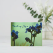 Carte Postale Quand vous vous sentez bleu ... (Debout devant)