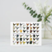 Carte Postale Quarante-huit Hen Promo (Debout devant)