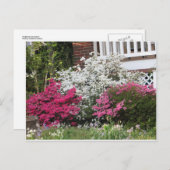 Carte Postale Quartier Azaleas (Devant / Derrière)