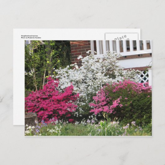 Carte Postale Quartier Azaleas (Devant / Derrière)