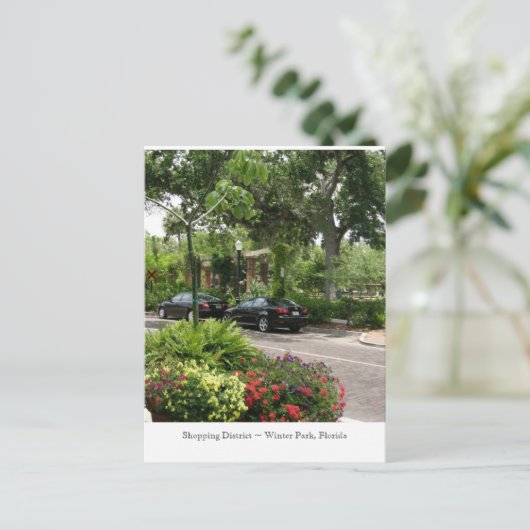 Carte Postale Quartier commerçant ~ Parc d'hiver, Floride (Debout devant)