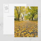 Carte Postale Quartier Est En Automne (Devant / Derrière)